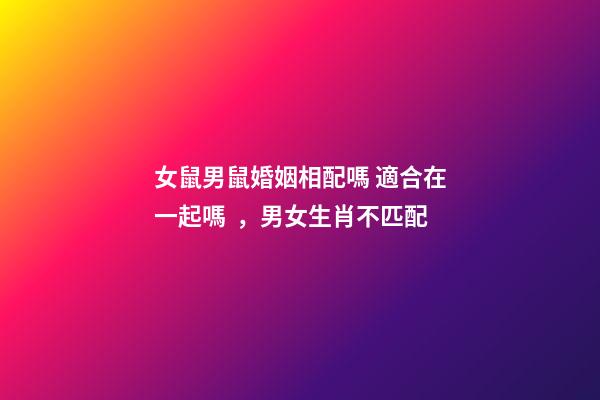 女鼠男鼠婚姻相配嗎 適合在一起嗎，男女生肖不匹配-第1張-觀點-玄機派